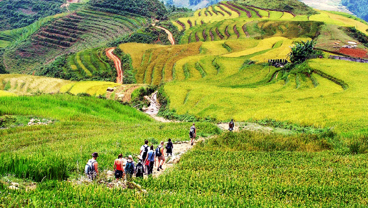 0013874 Tour Trekking Y Linh Ho Lao Chai Ta Van 1 Ngay Khoi Hanh Ga Lao Cai